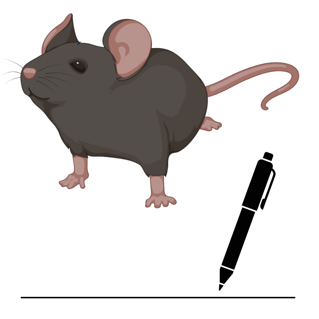 There's just one day left to make a contribution to our End-of-Year fundraiser, and earn yourself a donor reward!
Just $100 to name a mouse who might turn out to be the longest-lived in history... 🤞 levf.org/eoy-2023#rewar…