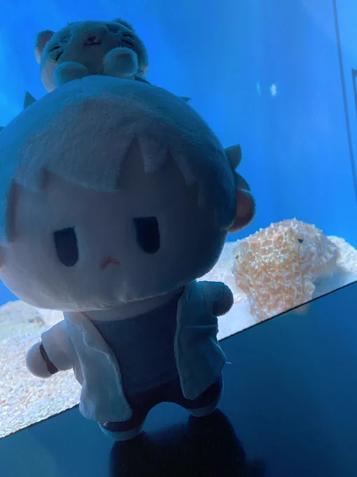 水族館ヒカトキちゃん 