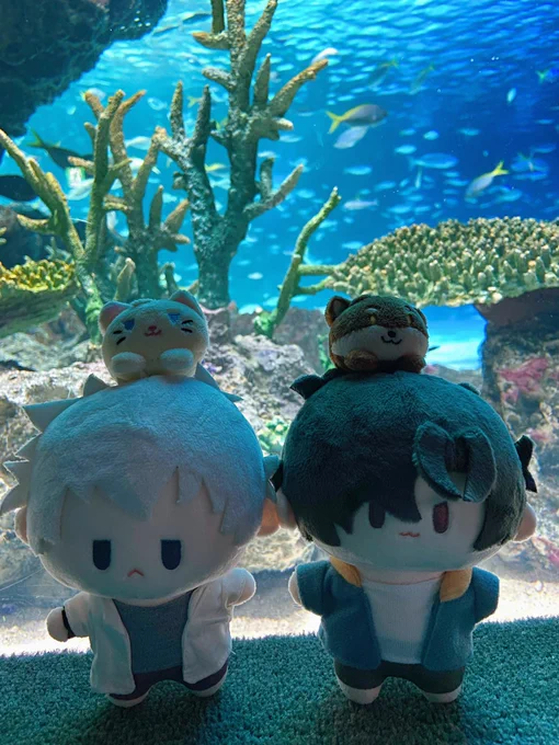 水族館ヒカトキちゃん 