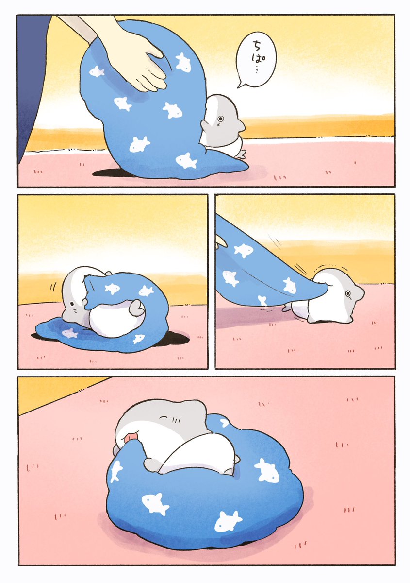 ベビー子ザメ タオルだいすき