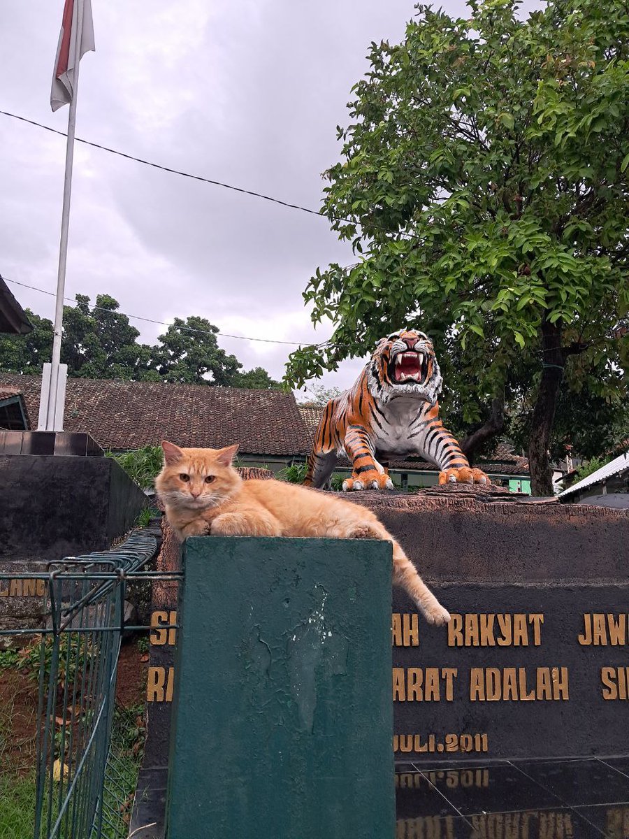 ZOO_FESS's tweet photo. Zoo gemes banget ga siii https://t.co/H8CIS7gNSq