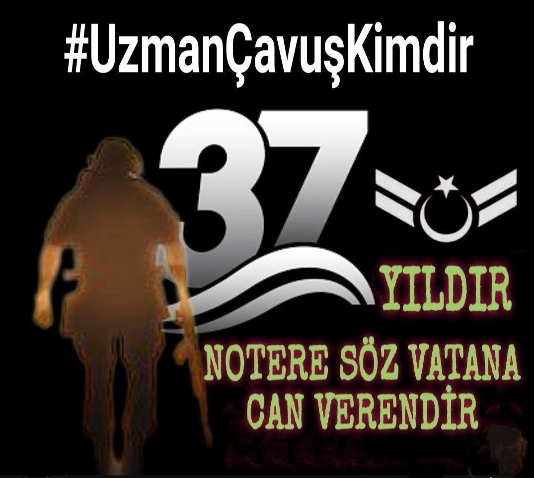 Mehmet Ali ŞENEL tweet media