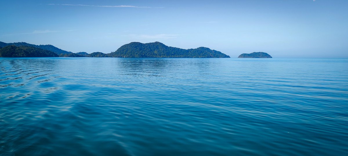 Mathias Peer tweet media