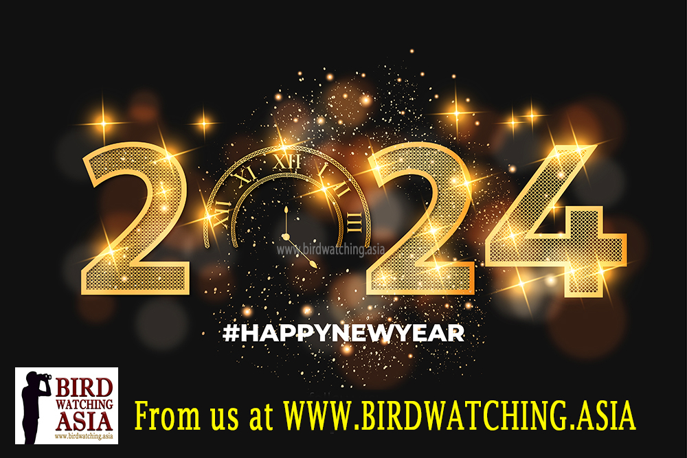 Wishing all followers, friends & business partners a 🅷🅰🅿🅿🆈 🅽🅴🆆 🆈🅴🅰🆁 2024! May the Year of the Dragon bring happiness, joy, love, success and lots more birding!