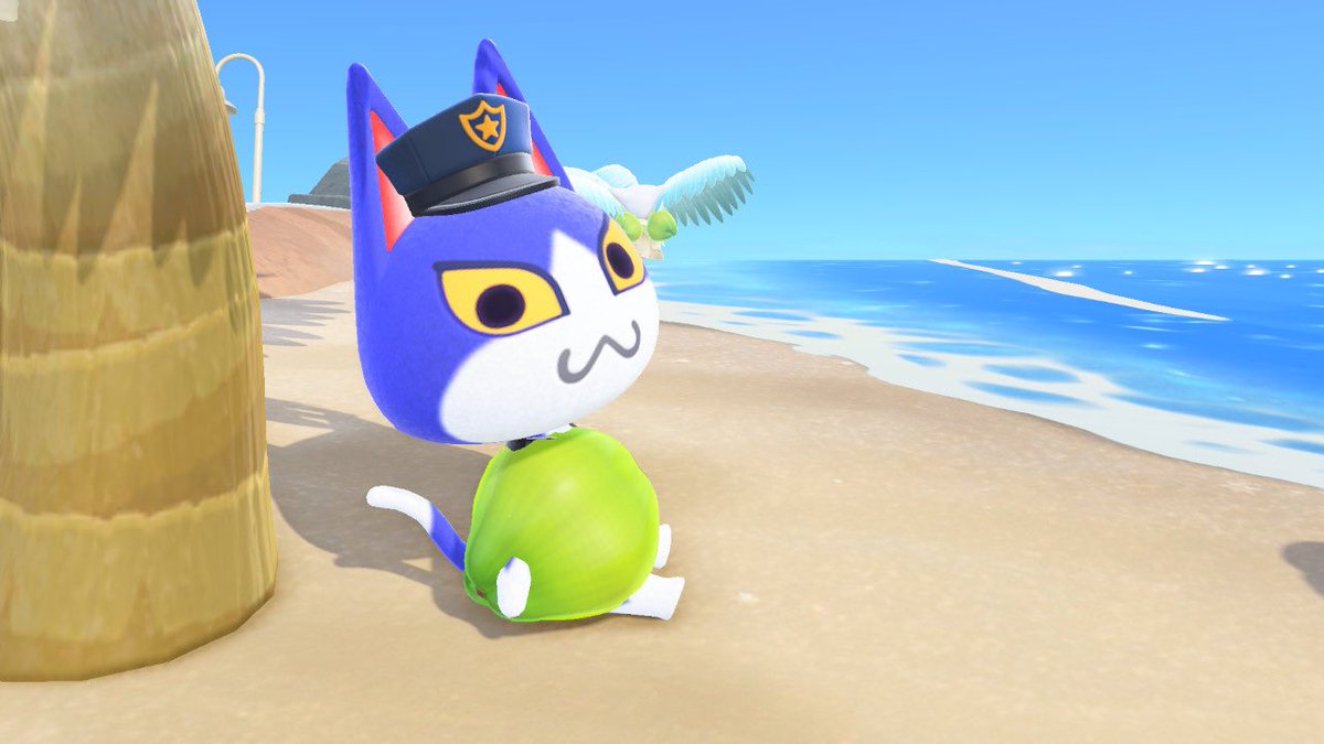 SweetAisha_ACNH's tweet photo. Coconut Tom 🥥😂💙

#どうぶつの森 #AnimalCrossing #ACNH #あつ森 #あつ森写真部 #NintendoSwitch #ハピパラ #バンタム https://t.co/beyTsVOyJ8