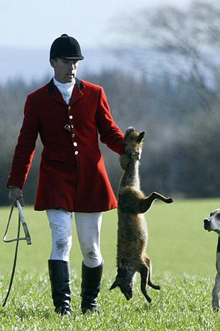 ProtectTheWild_'s tweet photo. Foxes are chased to exhaustion and ripped apart by hounds in the name of 'tradition'.

New Year's Day is one of the biggest days of the year for the fox hunting community even though it's illegal.

Please RT and follow @ProtectTheWild_ to raise awareness and help end it for good. https://t.co/MFm3bTq1DP