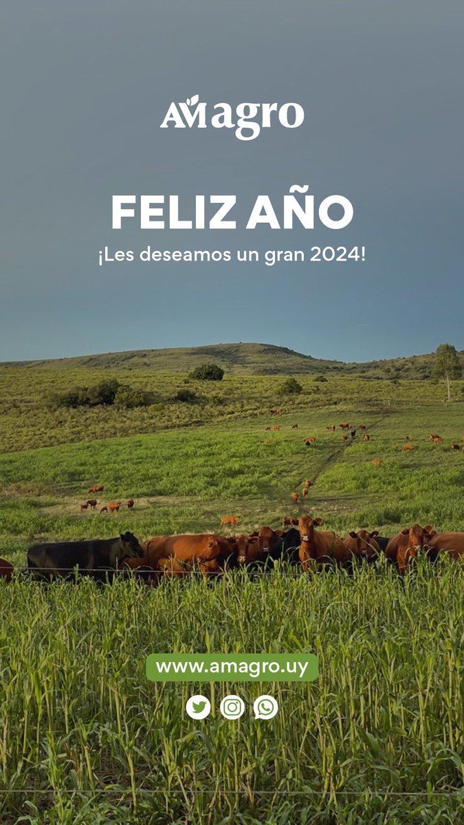 AM agro (@amagrouy) on Twitter photo 