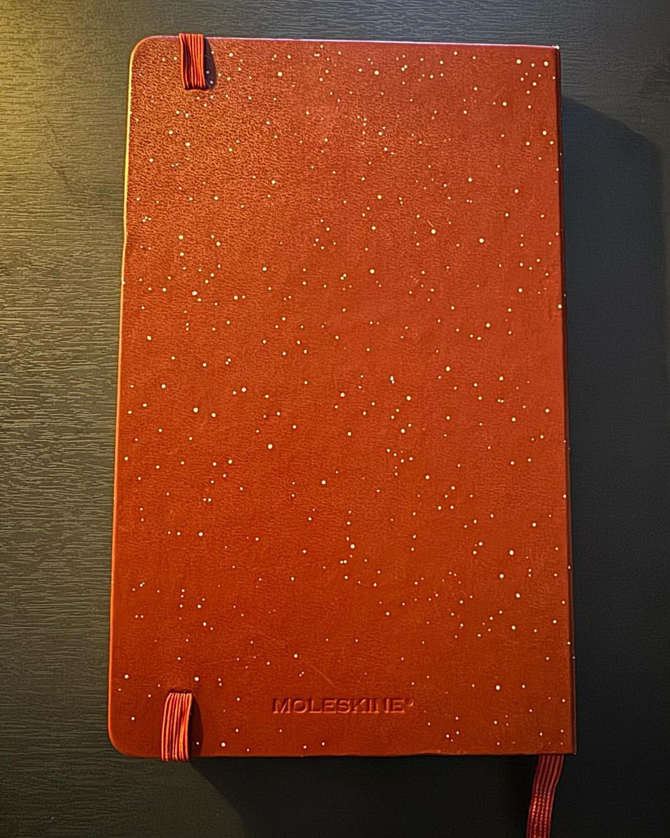 I've documented every single day of 2023 in this little notebook, writing down all the stories and memories. Whenever I want to take a stroll down memory lane, I can just open up this notebook and relive all those awesome moments from 2023.