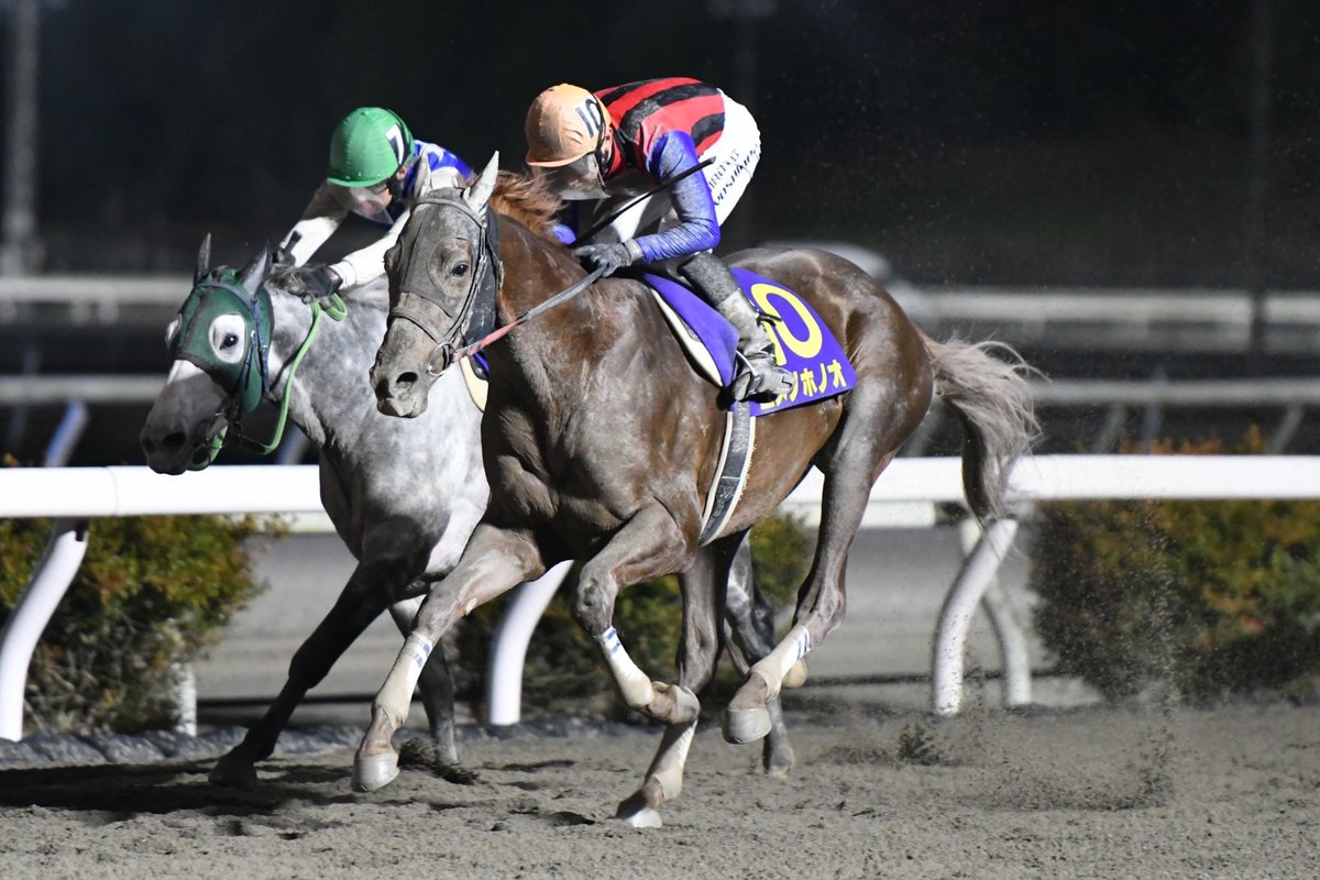 宇都宮競馬 JRA 中央競馬騎手招待競走 栃木県知事 トロフィー GCqu5-7bkAAA7lA.jpg