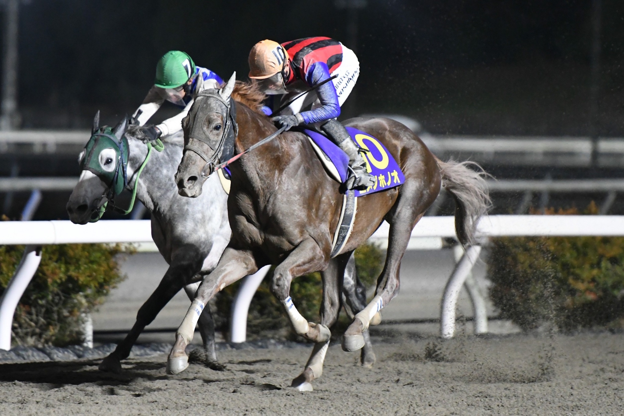 地方競馬全国協会(NAR)公式 on X: 