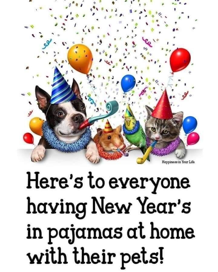 To each their own!     #NewYear2024                     #DogsOfTwitter              #CatsOfTwitter                #BirdsOfTwitter              #PetsOfTwitter