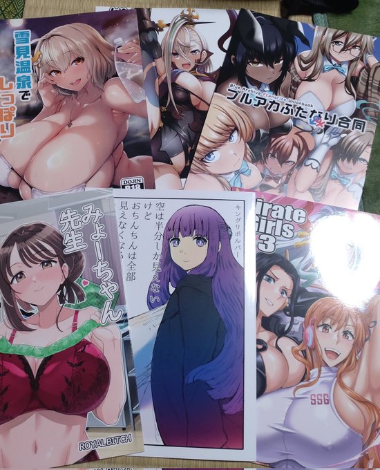 今日のコミケの戦利品
全部デカいね 