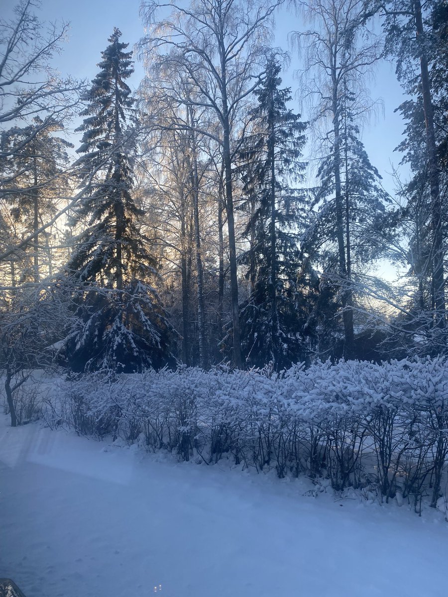 Rachel Cobb tweet media