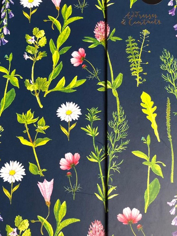 frozenprawn's tweet image. I finally bought a new #AddressBook 🖊️ 🌸as our old one was decades old &amp;amp; the pages were either falling out or altered due to inconsiderate entrants moving🙄😤🤭or leaving us.😥Will fill it in gradually &amp;amp; neatly🤞&amp;amp; wobetide😉 anyone who dares to move house once it&apos;s complete.😂🌺