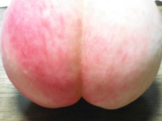 여러분 이건 복숭아입니다