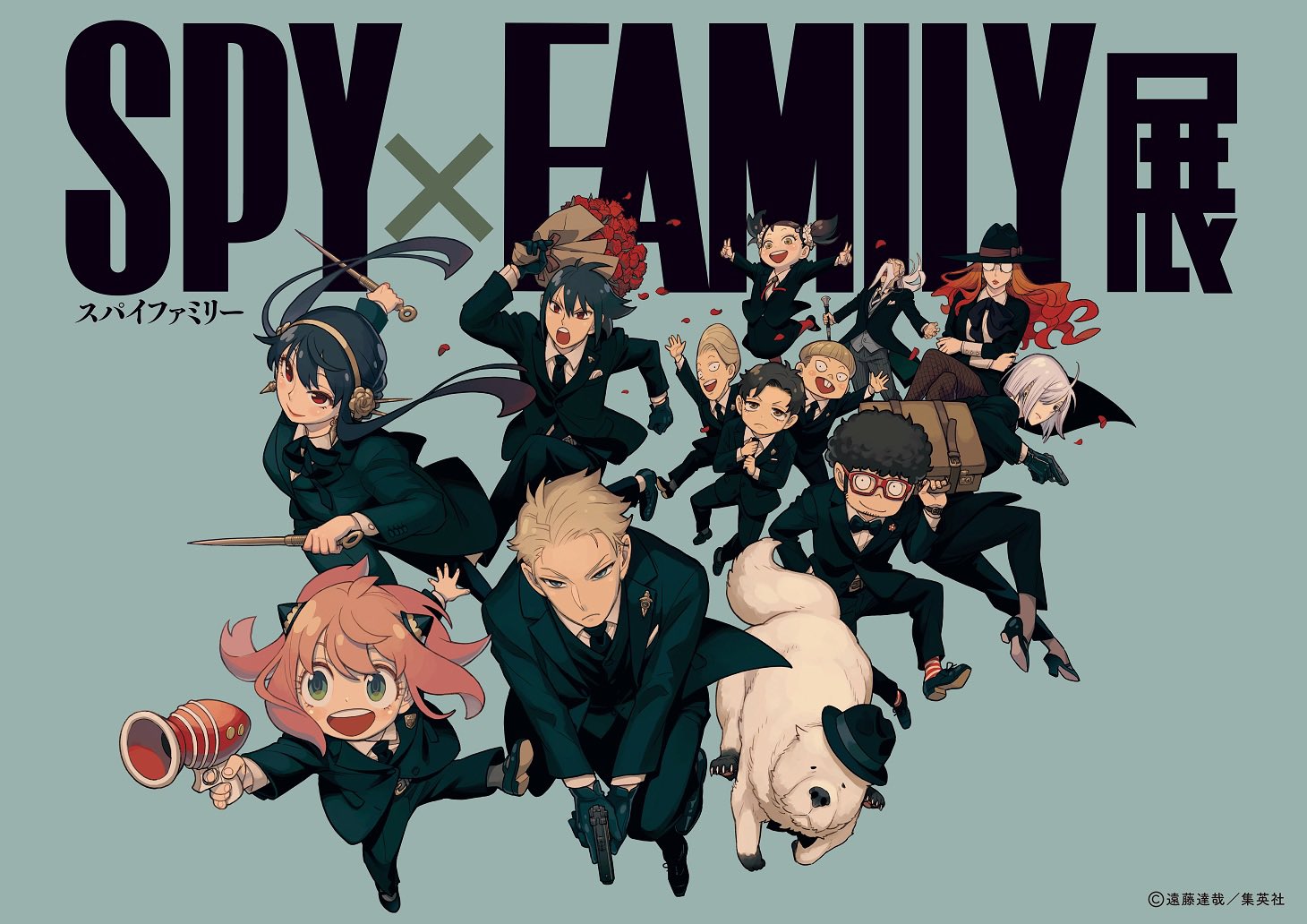 中古】 The spy's family 1/秋田書店/堀井覚司