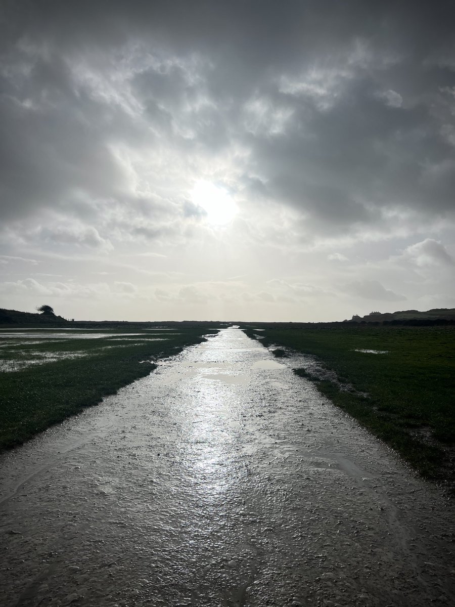 HNY all! Wishing you a peaceful, healthy and auspicious 2024.