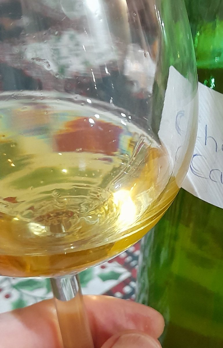 1st attempt at winemaking turns out not too chablis. #lunchpun #englishwine