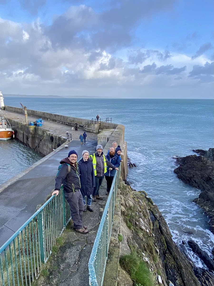 danryan_nature's tweet photo. Very fun #NewYearPlantHunt in Mevagissey with a small crew who braved the weather warnings.

Our record count in 4 years of doing this route (not that we are competitive…). https://t.co/xtHyOyUQFW