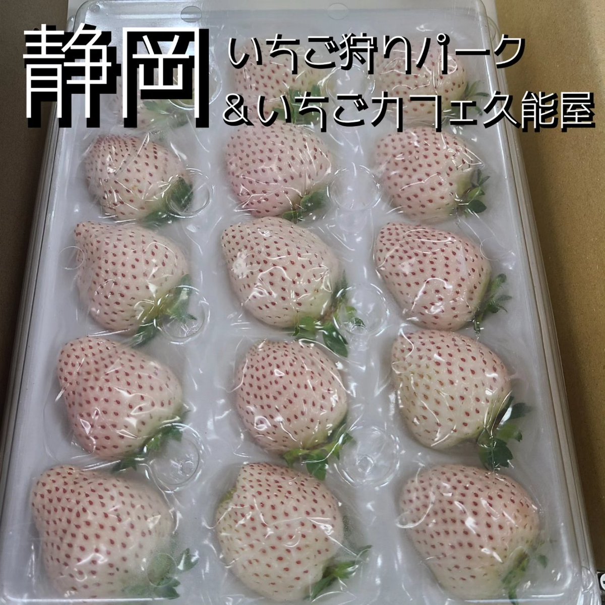 kunouya15's tweet photo. 明日も若干の白いちごの販売があります🍓
#白いちご　#久能屋 https://t.co/iWsGQI4yao