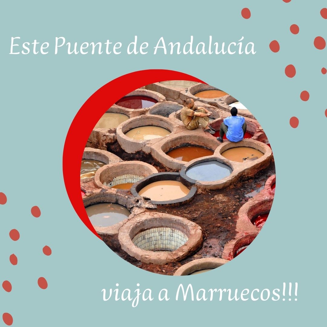 DescMarruecos's tweet photo. Descubre nuestros viajes programados para el Puente de Andalucía, circuitos que no te dejarán indiferente.
https://t.co/AGar2Yq0b0
#descubremarruecos #viajespuentedeandalucia #viajeamarruecos https://t.co/bjtMd7mIN8