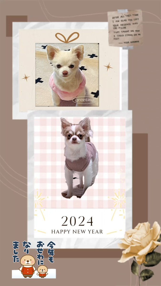 munoa2's tweet photo. @0xxrukaxx0 琉花さん
今年も後少し…
来年も宜しくお願いします😆💕 https://t.co/JXrv0dhLCG