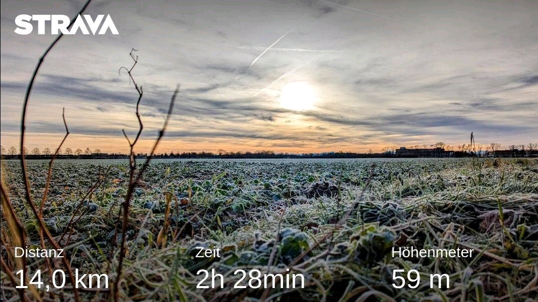 c_muc's tweet photo. Good finish of the year 🚶

@runningpunks #walkingpunk https://t.co/m4TZH6ndeY