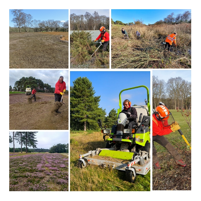 2023 has been another challenging year @PurdisHeathGolf with all the rain but we have carried on regardless making our estate better for wildlife with our continuing heath restoration and wetland projects, ably assisted by @GreenwaysProj on some areas. More planned for 2024!