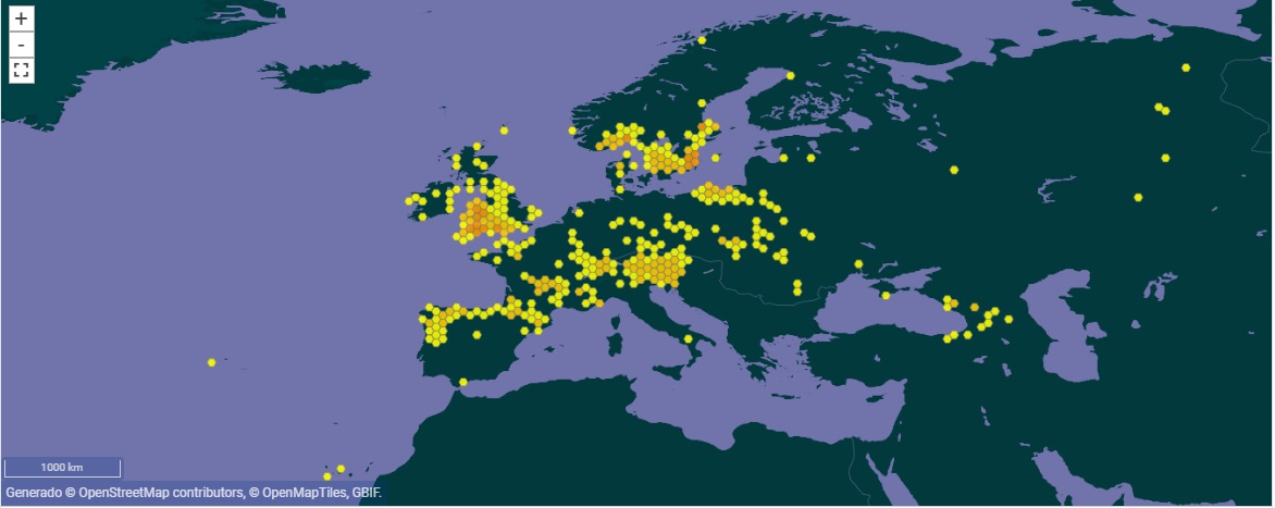Us presentem el liquen epífit🔎🔬 USNEA FLORIDA. Família: Parmeliaceae. Tipus: fruticulós, color verd pàl·lid. Reproducció: apotecis característics. Ecologia: boscos amb boires freqüents, sobre escorces àcides. Distribució: boreal-montana 🏔️. Indicador de bona qualitat de l'aire.