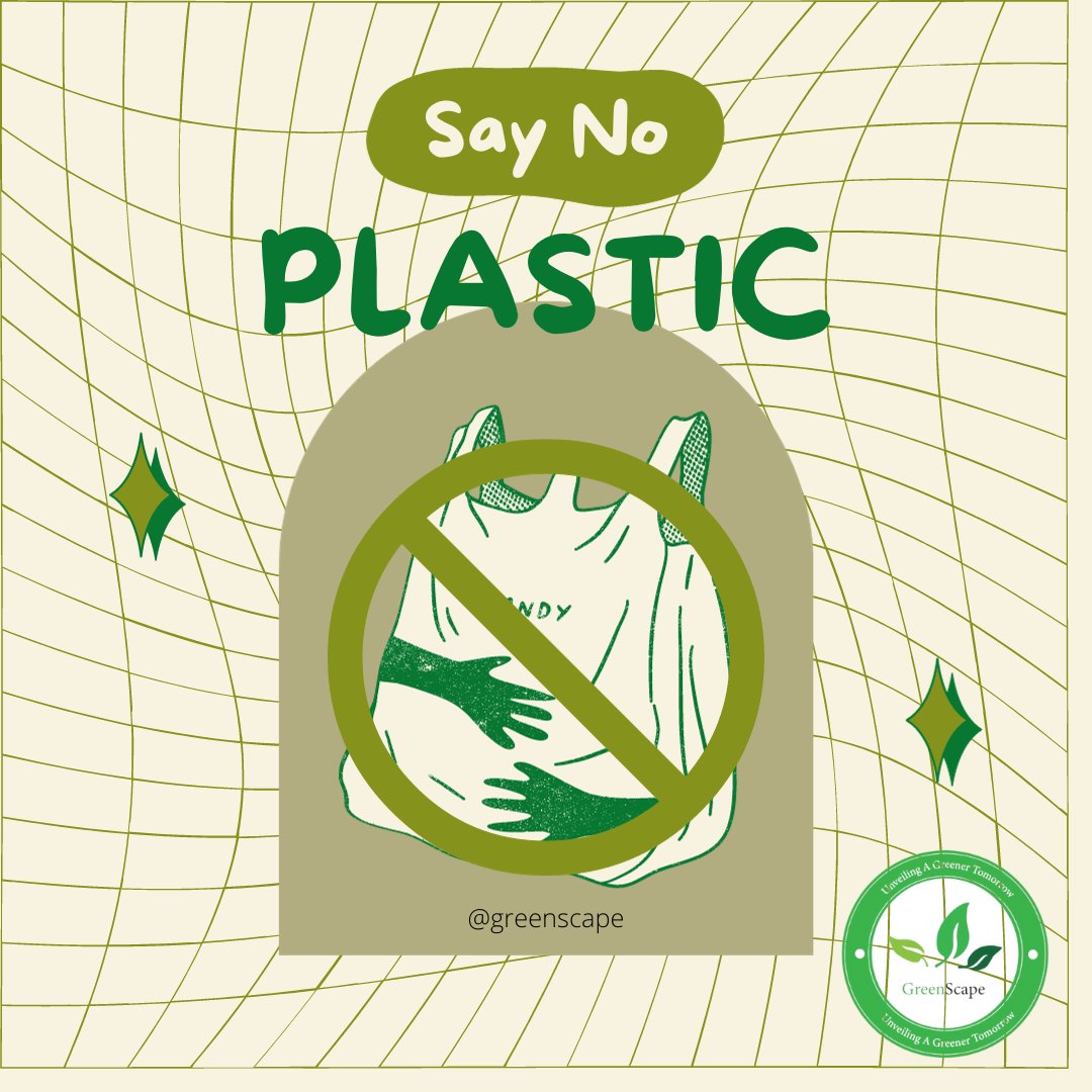 Say No to Plastic....

#saynotoplastic #plasticfreeliving #noplasticmovement #beatplasticpollution #plasticawareness #plasticfreeworld #reduceplasticuse #gogreen #plasticsolutions #breakfreefromplastic #dubaiplasticban #singleuseplastic #sustainabledubai #plasticfreecity