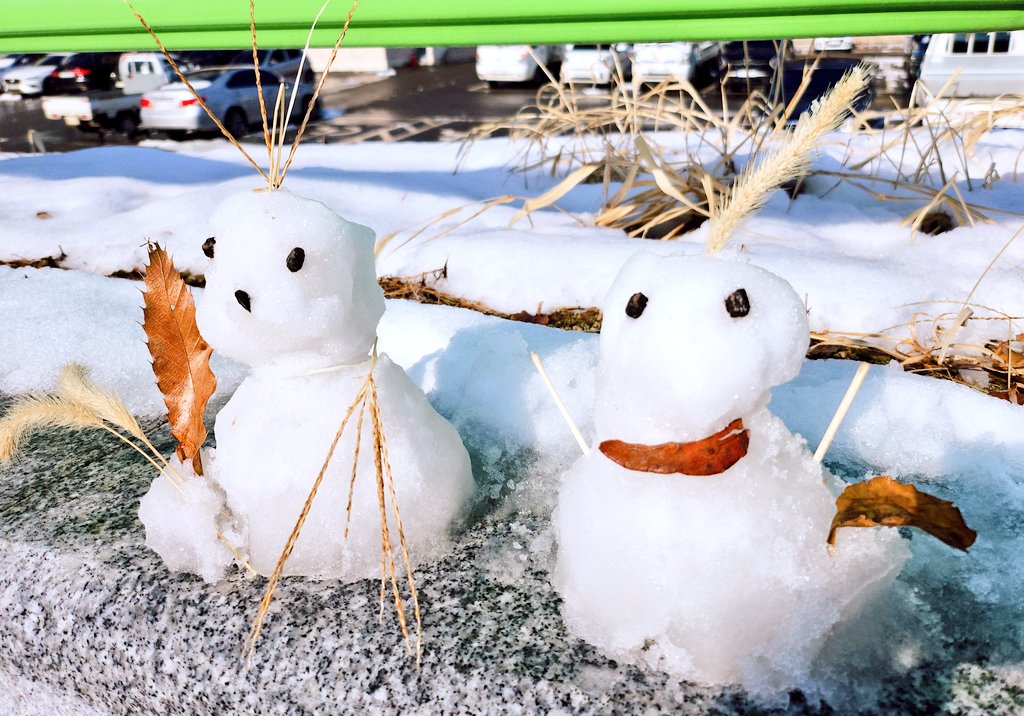 눈이 폭삭 이뿌게 쌓여서
내가 맹근 멍충미 가득한 눈사람☃️❄️
처음에 하나만 만들었는데
외로워보여서 친구하나더만들어줌