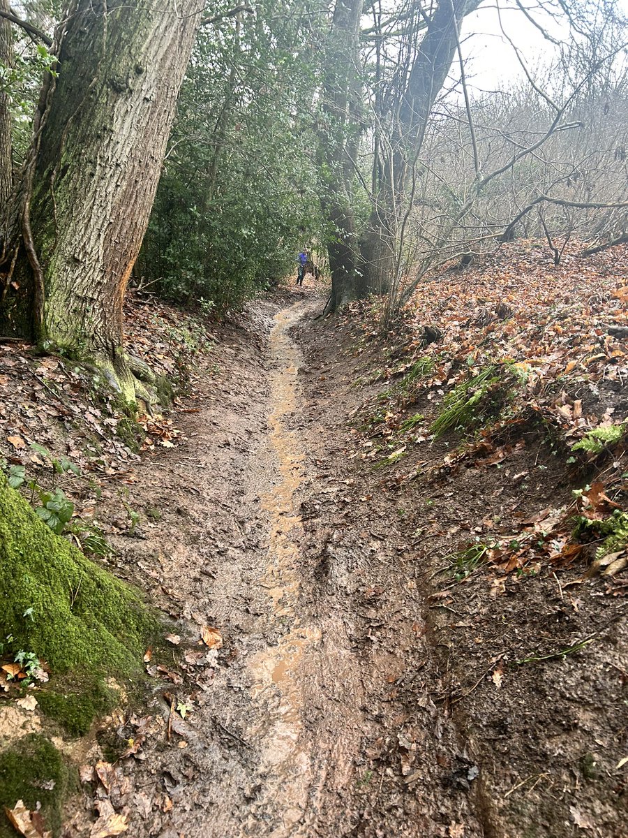 P_HEDGEHOG's tweet photo. Trail maintenance. Clearing out the gulley of a million leaves. 2 hours on the rake and shovel. Knackered now! #mtb #nodignoride https://t.co/GX4UtYCFXD