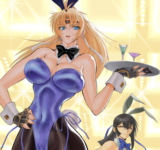 今年はせっかくのウサギ年だったのにバニーを描く機会がありませんでした。
なので既出ですが。

来年は頑張ってバニー描こうと思います。
辰年ですが。 