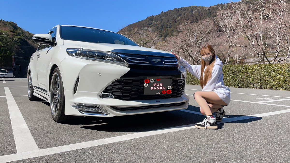 チコリ (@chikori_53) / Posts / X