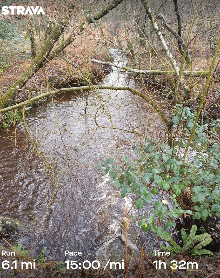 ZhepzyMudRunner's tweet image. Squelchy Sunday, it was really hard, still suffering this stupid superbug cold 🤧
#TWC #TwittaWinterChallenge #SonicWinterSprinters