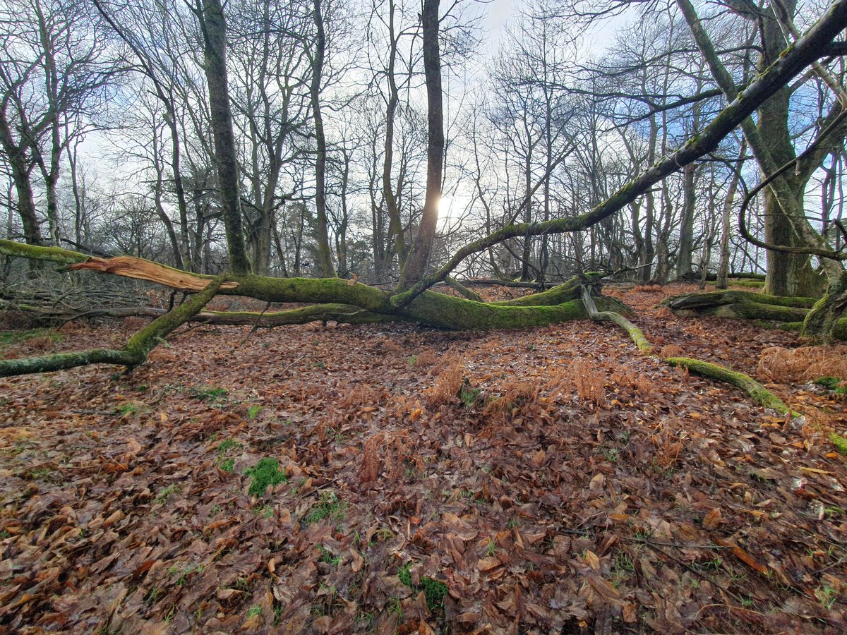 ZhepzyMudRunner's tweet image. Squelchy Sunday, it was really hard, still suffering this stupid superbug cold 🤧
#TWC #TwittaWinterChallenge #SonicWinterSprinters