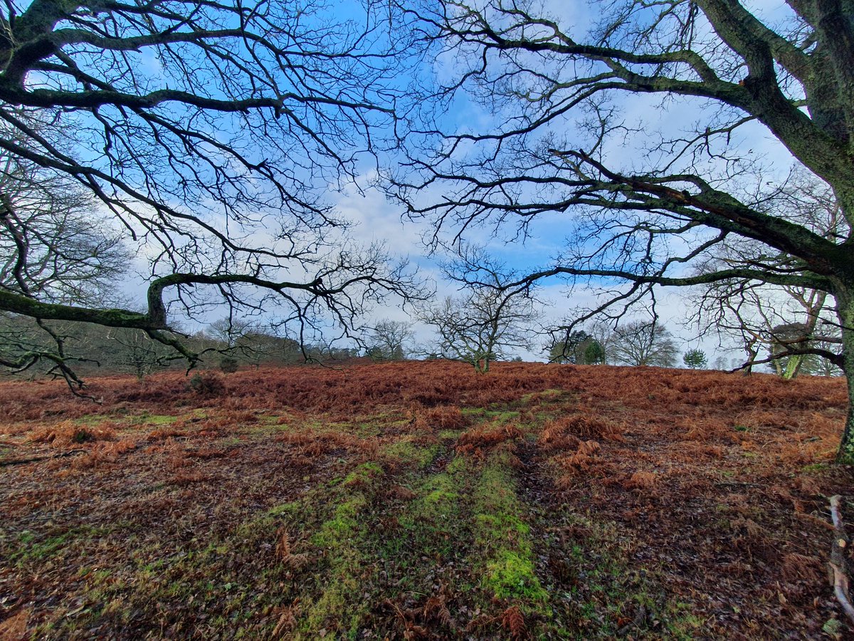 ZhepzyMudRunner's tweet image. Squelchy Sunday, it was really hard, still suffering this stupid superbug cold 🤧
#TWC #TwittaWinterChallenge #SonicWinterSprinters