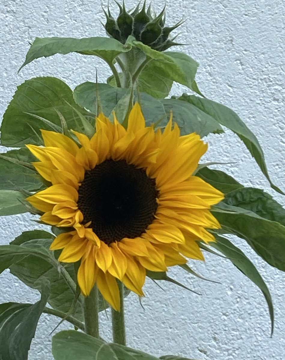 Life has thrown a lot at me over the past few years with some experiences I never want repeated. I’ve been hurt by the behaviour of some people but strengthened by the kindness of others. My thanks for your support as I enter 2024 wiser and happier. Wishing you well. Dx