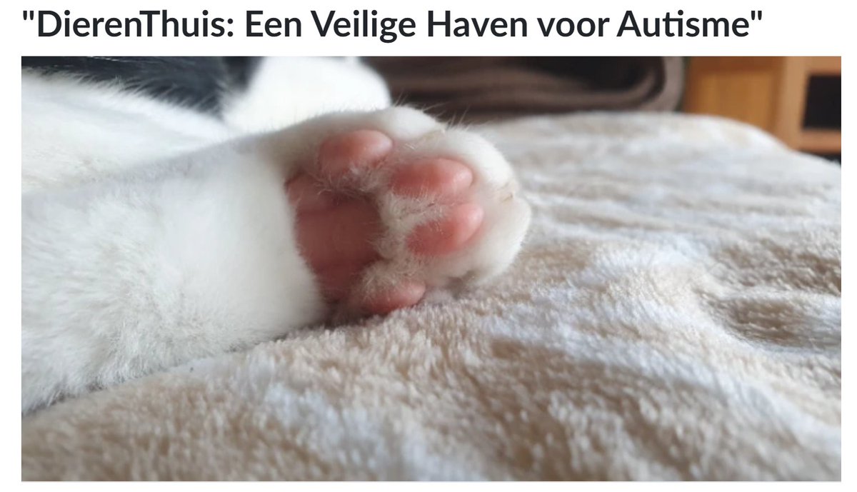 steunactie.be/actie/dierenth… 

#autisme #zorg #SUPPORT #CatsOfTwitter #ActuallyAutistic #donate 🤗