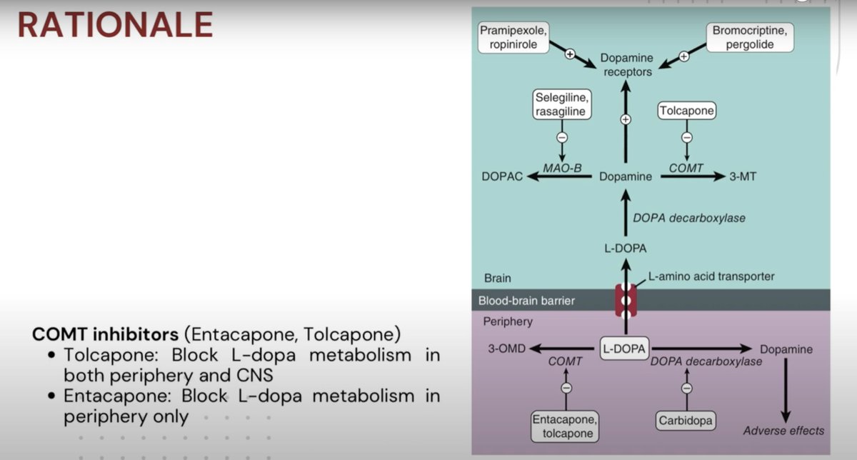 pgi7099's tweet photo. What is the difference between the COMT inhibitors Entacapone and Tolcapone? Watch here: https://t.co/snJaLQqi2T https://t.co/bYdCR6uFEK