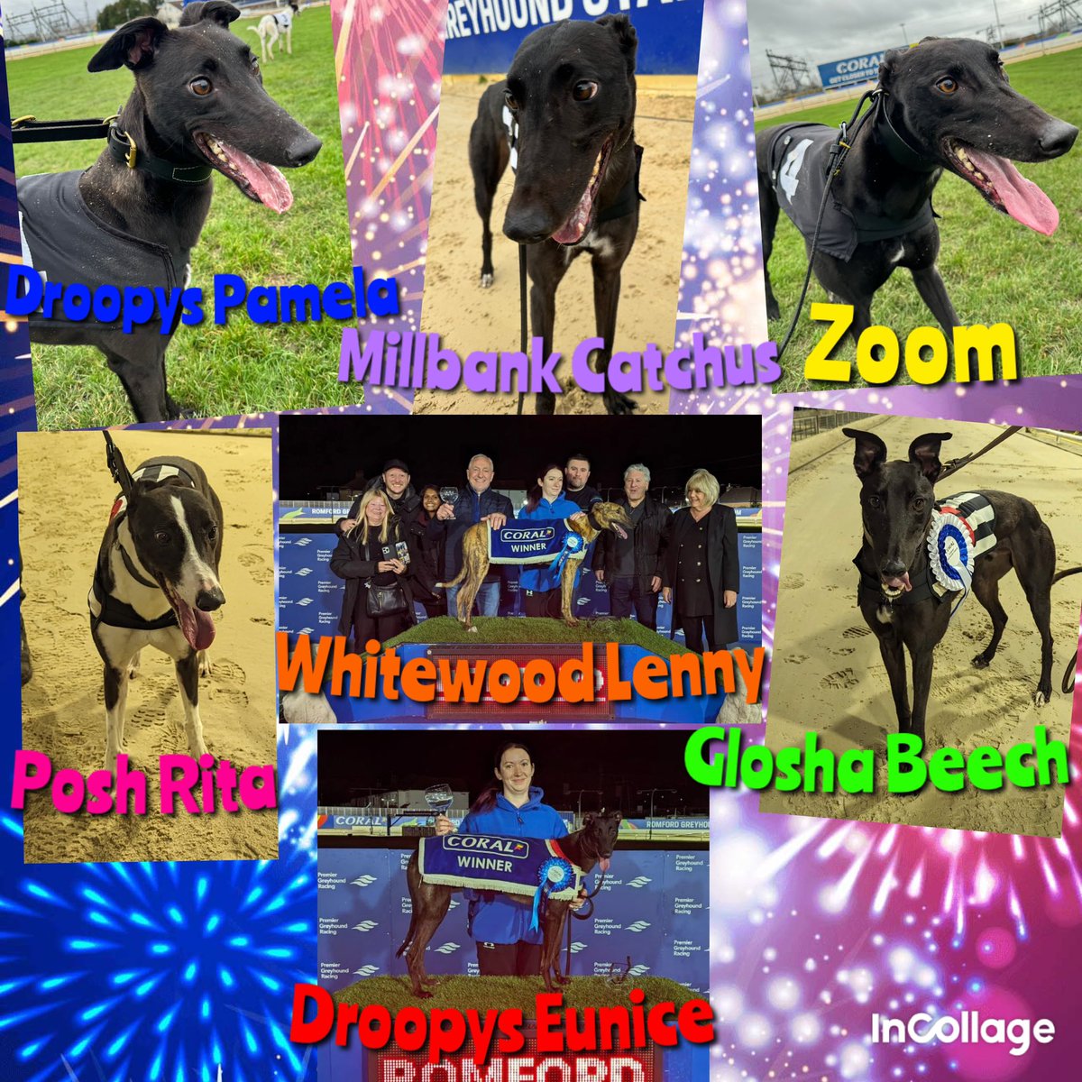 We end the year in great style with 7 winners over Friday & Saturdays meetings 💪 Zoom takes a second win on the bounce, Pam takes her first win, Catchus (Bailey) also gets her first win for us, Rita electric from the traps, Beech running on strong 1/2