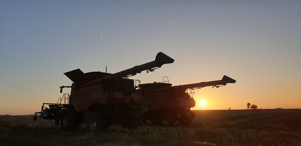 Wimmera Crop Watch tweet media