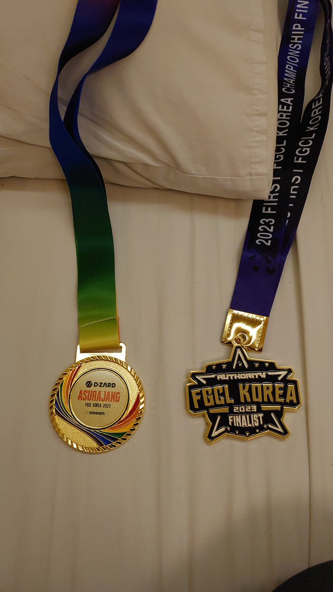 今年は人生初のメダル等を手に入れた嬉しい年でした。
来年もまた良い年になるといいなぁ〜。
皆様来年もよろしくお願いします。