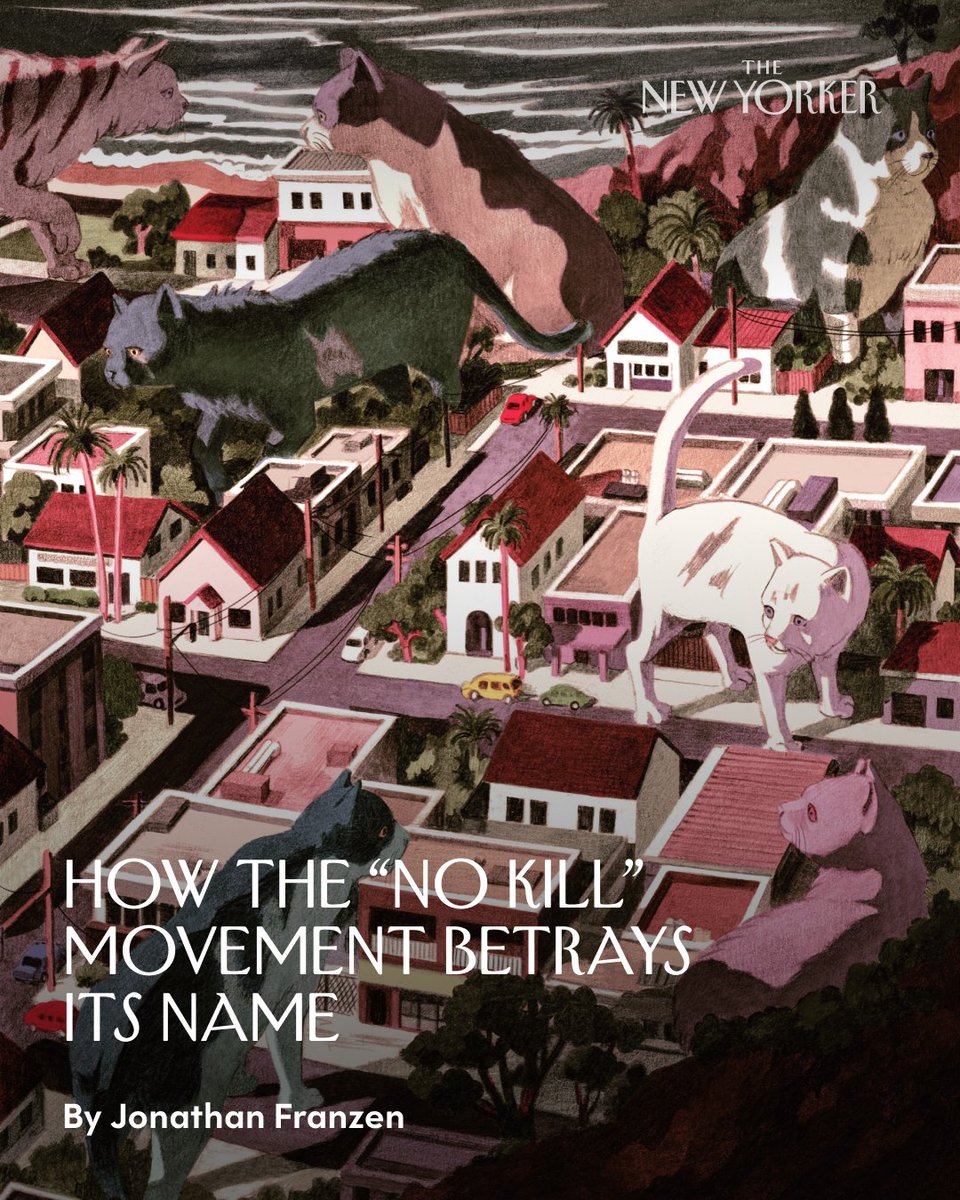 The New Yorker tweet media