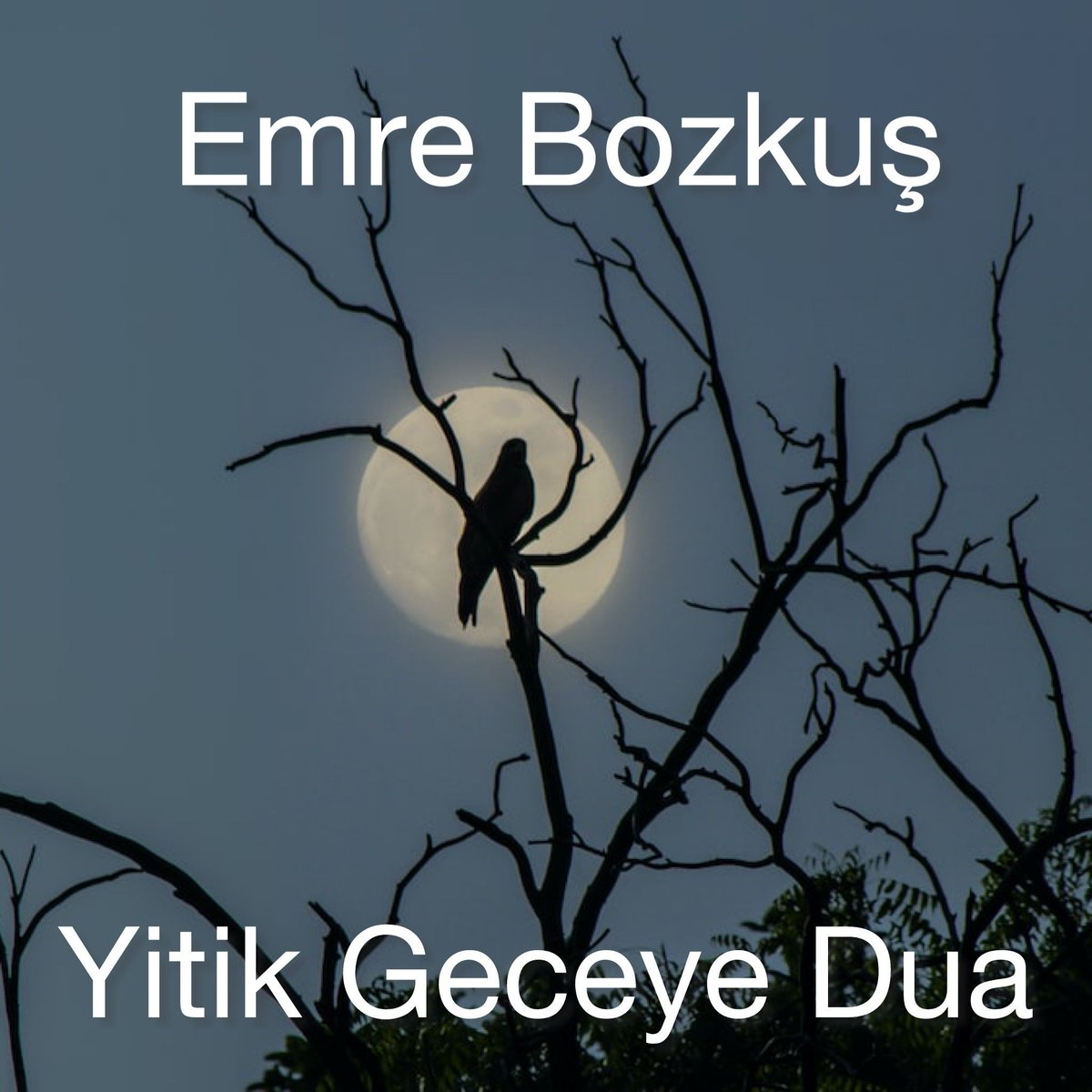 “Uzun geceye anlatırım bir tek derdimi
Bir geceydi ki korları hâlâ yakar
Geyik boynuzu yırtarken perdeyi
Narı dağılır öylece yarayı dağlar” 
-Yitik Geceye Dua, Emre Bozkuş
kovuk.org/yitik-geceye-d…
