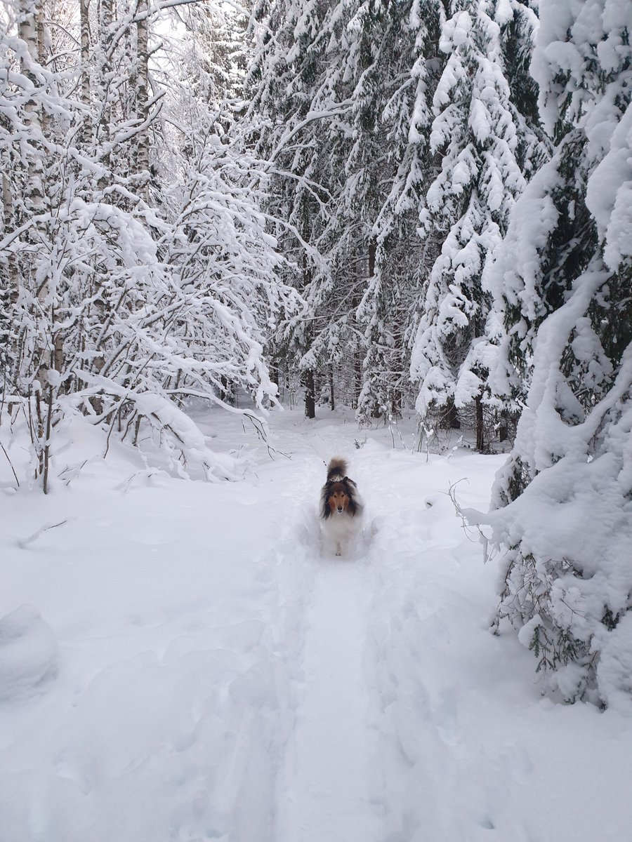 Happy New Year ❄🎉