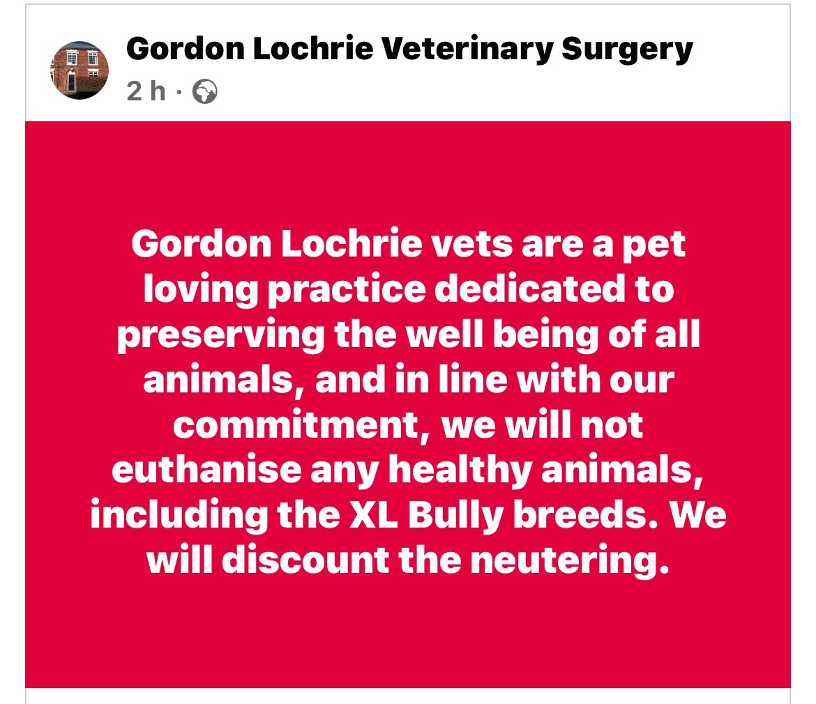 rissalipstick's tweet photo. This is how you fight back….this Vet has my full respect and support, please show the same and #Share #EndBreedDiscrimination #SaveXlBullies #ScrewSunak https://t.co/Xt06FbGq7C