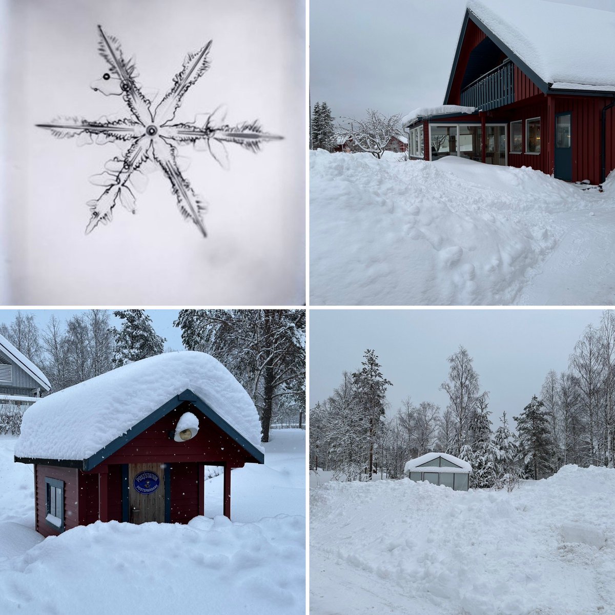 LeifSelling's tweet photo. Snö är ett brev från himlen. Så skrev den japanske fysikern Nakaya, känd för fotografier av snöflingor. Jag håller med. Gott Nytt År! https://t.co/lrg0IsrNvv