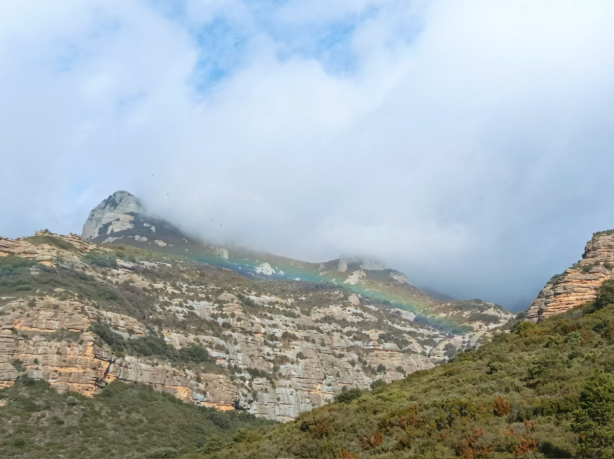elsa_elsinky's tweet photo. Terminar el año #caminando es la mejor expresión de cómo ha sido mi 2023 y cómo quiero que sea el 2024 #Gorgas ⛰️ #Huesca #Gratal #FelizAño #caminar 👣 #avanzar �� #cambiar ↩️ #arriesgar 🚶‍♀️ https://t.co/lzuQylLN2j