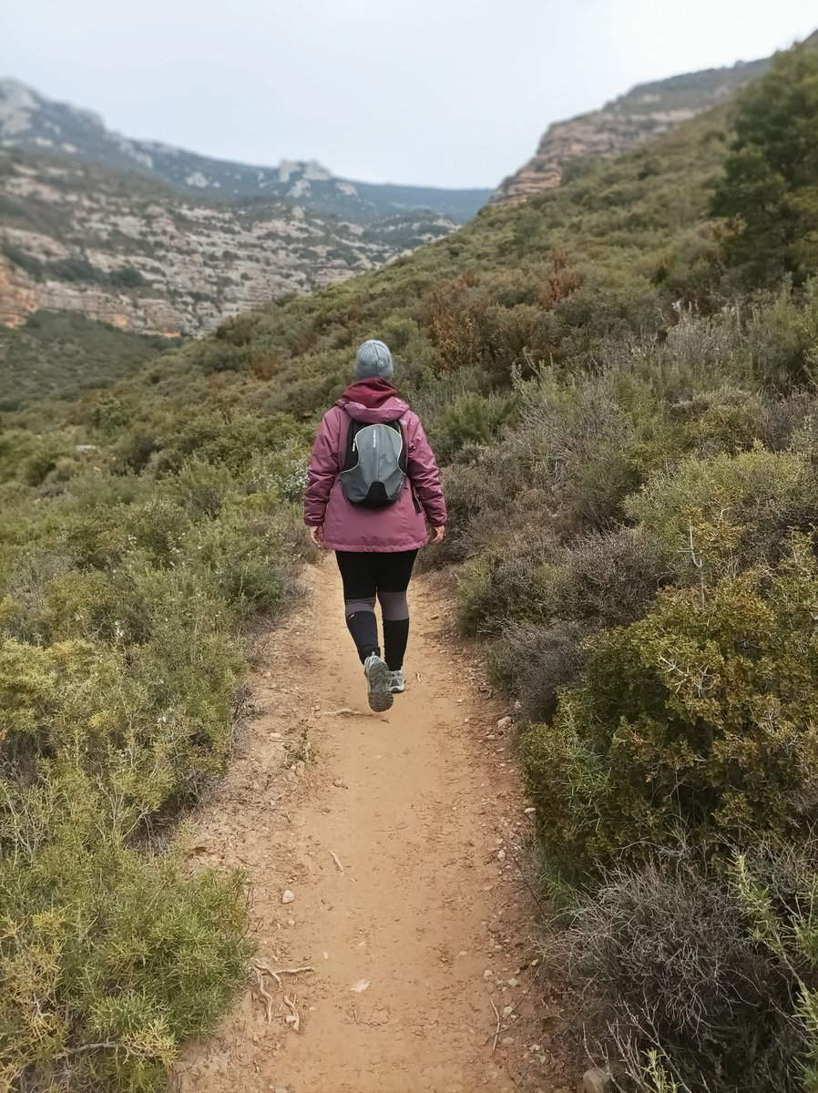 elsa_elsinky's tweet photo. Terminar el año #caminando es la mejor expresión de cómo ha sido mi 2023 y cómo quiero que sea el 2024 #Gorgas ⛰️ #Huesca #Gratal #FelizAño #caminar 👣 #avanzar �� #cambiar ↩️ #arriesgar 🚶‍♀️ https://t.co/lzuQylLN2j